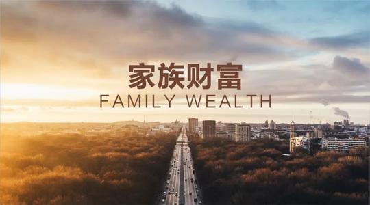 家族与财富管理法律服务
